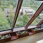 Apartman A6 Albmatte-FEWO St. Blasien