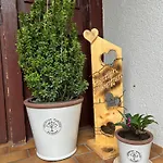 Naturidyll Am Fluss-ferienhaus Albmatte-grosser Garten Mit Grill- Spiel- Und Sitzmoeglichkeiten Appartement St. Blasien
