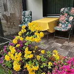 Appartement Naturidyll Am Fluss-ferienhaus Albmatte-grosser Garten Mit Grill- Spiel- Und Sitzmoeglichkeiten St. Blasien