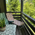 Naturidyll Am Fluss-ferienhaus Albmatte-grosser Garten Mit Grill- Spiel- Und Sitzmoeglichkeiten * St. Blasien