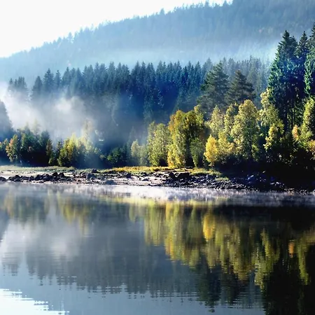 Naturidyll Am Fluss - Albmatte - Grosser Garten Zum Grillen Und Entspannen-direkt Neben Dem Radon Revitalbad Mit Sauna Und Thermalbecken * St. Blasien
