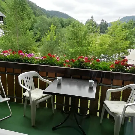 Naturidyll Am Fluss - Albmatte - Grosser Garten Zum Grillen Und Entspannen-direkt Neben Dem Radon Revitalbad Mit Sauna Und Thermalbecken Apartment St. Blasien