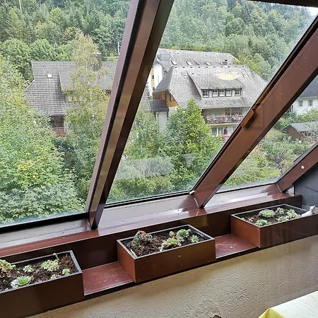 דירה Grosser Garten Mit Grill,-spiel Und Sitzmoeglichkeiten-umgeben Von Schoener Natur-ferienhaus Albmatte סאן בלאסיין