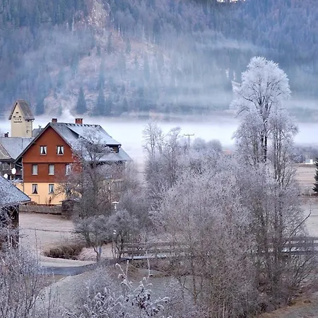 Apartment Naturidyll Am Fluss - Albmatte - Grosser Garten Zum Grillen Und Entspannen-direkt Neben Dem Radon Revitalbad Mit Sauna Und Thermalbecken St. Blasien
