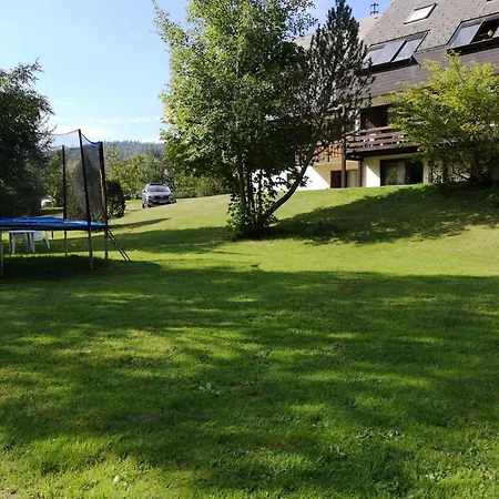 Naturidyll Am Fluss - Albmatte - Grosser Garten Zum Grillen Und Entspannen-direkt Neben Dem Radon Revitalbad Mit Sauna Und Thermalbecken * St. Blasien