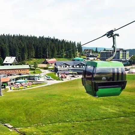 Naturidyll Am Fluss - Albmatte - Grosser Garten Zum Grillen Und Entspannen-direkt Neben Dem Radon Revitalbad Mit Sauna Und Thermalbecken Apartment *