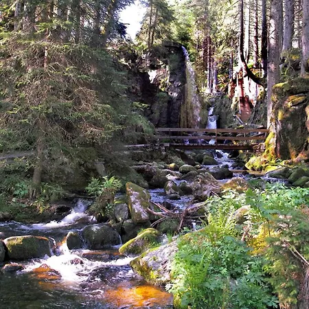 Naturidyll Am Fluss - Albmatte - Grosser Garten Zum Grillen Und Entspannen-direkt Neben Dem Radon Revitalbad Mit Sauna Und Thermalbecken Apartment St. Blasien