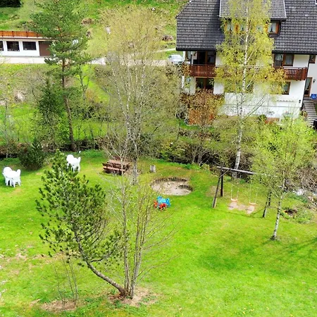 Apartment Naturidyll Am Fluss - Albmatte - Grosser Garten Zum Grillen Und Entspannen-direkt Neben Dem Radon Revitalbad Mit Sauna Und Thermalbecken St. Blasien