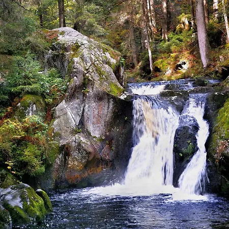 Naturidyll Am Fluss - Albmatte - Grosser Garten Zum Grillen Und Entspannen-direkt Neben Dem Radon Revitalbad Mit Sauna Und Thermalbecken *