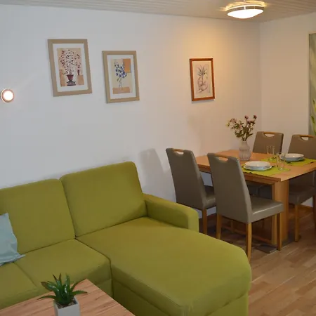 Naturidyll Am Fluss - Albmatte - Grosser Garten Zum Grillen Und Entspannen-direkt Neben Dem Radon Revitalbad Mit Sauna Und Thermalbecken Apartment St. Blasien