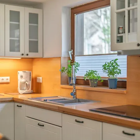 Apartment Naturidyll Am Fluss - Albmatte - Grosser Garten Zum Grillen Und Entspannen-direkt Neben Dem Radon Revitalbad Mit Sauna Und Thermalbecken St. Blasien