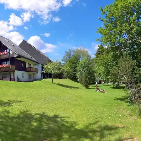 Naturidyll Am Fluss - Albmatte - Grosser Garten Zum Grillen Und Entspannen-direkt Neben Dem Radon Revitalbad Mit Sauna Und Thermalbecken Apartment St. Blasien
