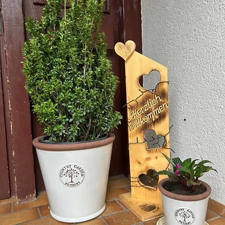 Albmatte-sauna Im Haus-gemuetliche Διαμέρισμα St. Blasien