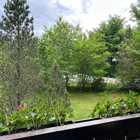 Apartamento Naturidyll Am Fluss - Albmatte - Grosser Garten Zum Grillen Und Entspannen-direkt Neben Dem Radon Revitalbad Mit Sauna Und Thermalbecken *