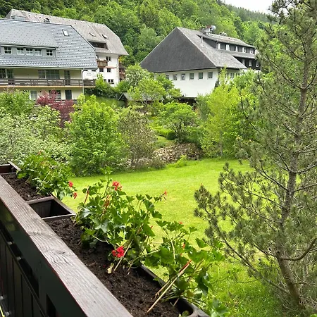 Naturidyll Am Fluss - Albmatte - Grosser Garten Zum Grillen Und Entspannen-direkt Neben Dem Radon Revitalbad Mit Sauna Und Thermalbecken 公寓 圣布拉辛
