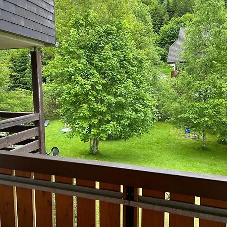 Naturidyll Am Fluss - Albmatte - Grosser Garten Zum Grillen Und Entspannen-direkt Neben Dem Radon Revitalbad Mit Sauna Und Thermalbecken 公寓 圣布拉辛