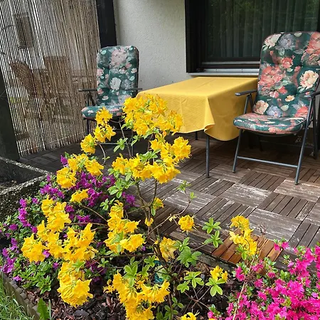 Apartamento Naturidyll Am Fluss - Albmatte - Grosser Garten Zum Grillen Und Entspannen-direkt Neben Dem Radon Revitalbad Mit Sauna Und Thermalbecken St. Blasien