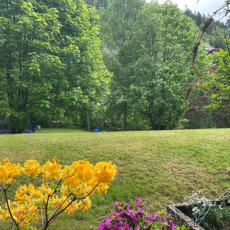 Naturidyll Am Fluss - Albmatte - Grosser Garten Zum Grillen Und Entspannen-direkt Neben Dem Radon Revitalbad Mit Sauna Und Thermalbecken *