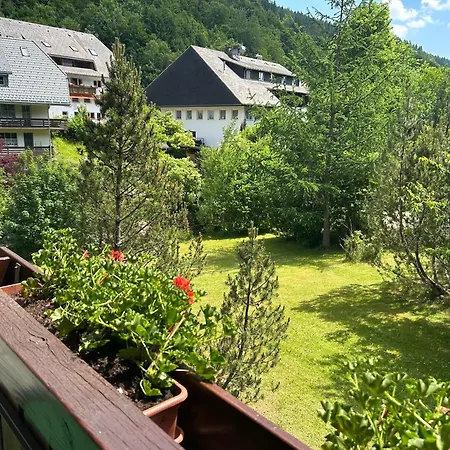 Apartamento Naturidyll Am Fluss - Albmatte - Grosser Garten Zum Grillen Und Entspannen-direkt Neben Dem Radon Revitalbad Mit Sauna Und Thermalbecken St. Blasien