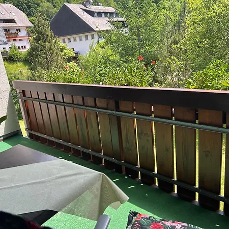 公寓 Naturidyll Am Fluss - Albmatte - Grosser Garten Zum Grillen Und Entspannen-direkt Neben Dem Radon Revitalbad Mit Sauna Und Thermalbecken