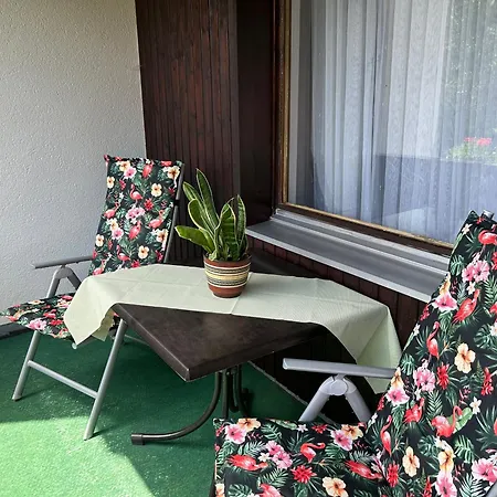 Apartamento Naturidyll Am Fluss - Albmatte - Grosser Garten Zum Grillen Und Entspannen-direkt Neben Dem Radon Revitalbad Mit Sauna Und Thermalbecken St. Blasien