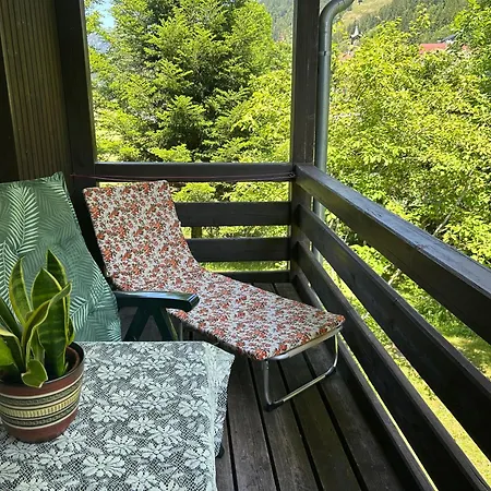 Grosser Garten Mit Grill,-spiel Und Sitzmoeglichkeiten-umgeben Von Schoener Natur-ferienhaus Albmatte * סאן בלאסיין