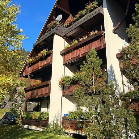 Albmatte-sauna Im Haus-gemütliche