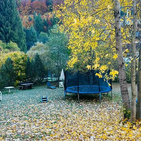 Apartamento Albmatte-sauna Im Haus-gemütliche
