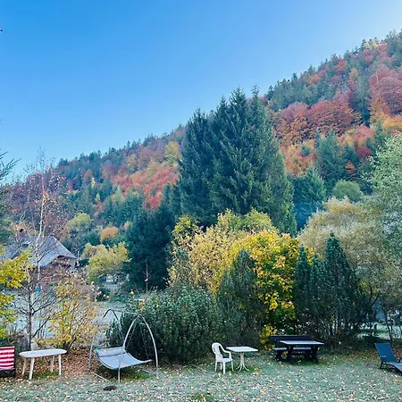 Albmatte-sauna Im Haus-gemütliche Apartamento *