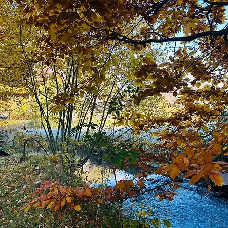 Apartamento Albmatte-sauna Im Haus-gemütliche *