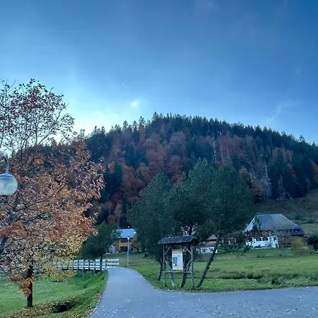Albmatte-sauna Im Haus-gemütliche St. Blasien