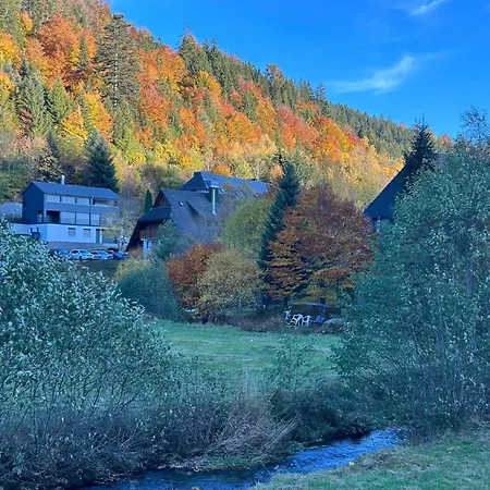 Albmatte-sauna Im Haus-gemütliche St. Blasien