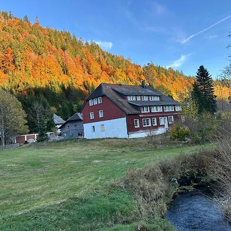 Albmatte-sauna Im Haus-gemütliche
