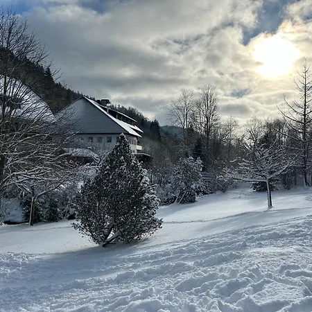 Διαμέρισμα Albmatte-sauna Im Haus-gemuetliche