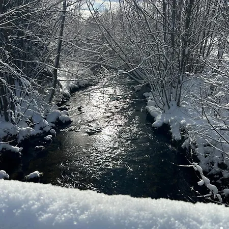 Albmatte-sauna Im Haus-gemuetliche Διαμέρισμα *