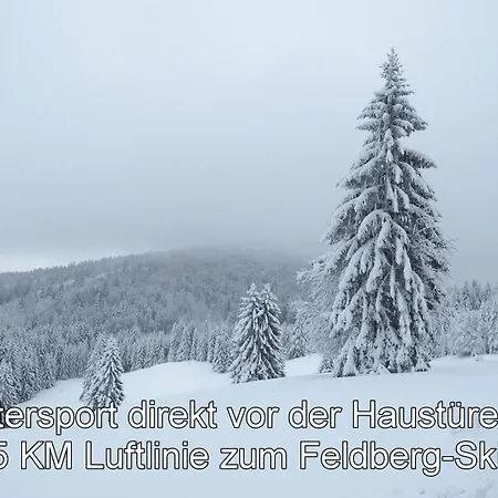 Διαμέρισμα Albmatte-sauna Im Haus-gemuetliche