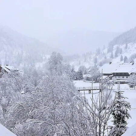 Albmatte-sauna Im Haus-gemuetliche Διαμέρισμα *