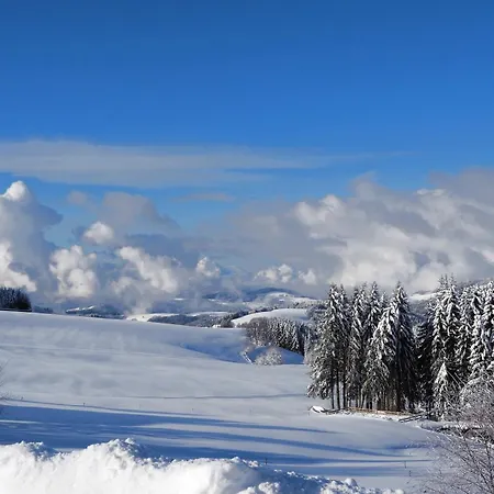Albmatte-sauna Im Haus-gemuetliche St. Blasien