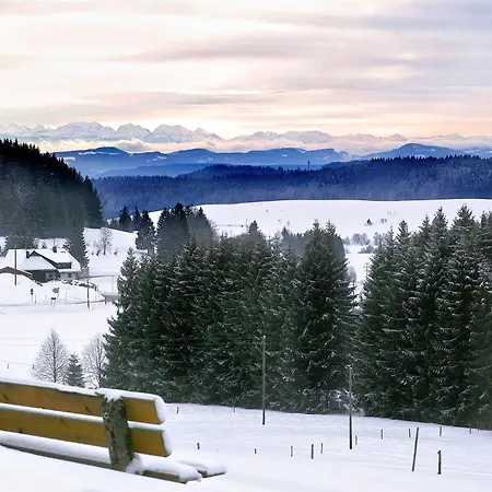 Albmatte-sauna Im Haus-gemuetliche St. Blasien