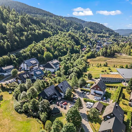Grosser Garten Mit Grill,-spiel Und Sitzmoeglichkeiten-umgeben Von Schoener Natur-ferienhaus Albmatte * סאן בלאסיין