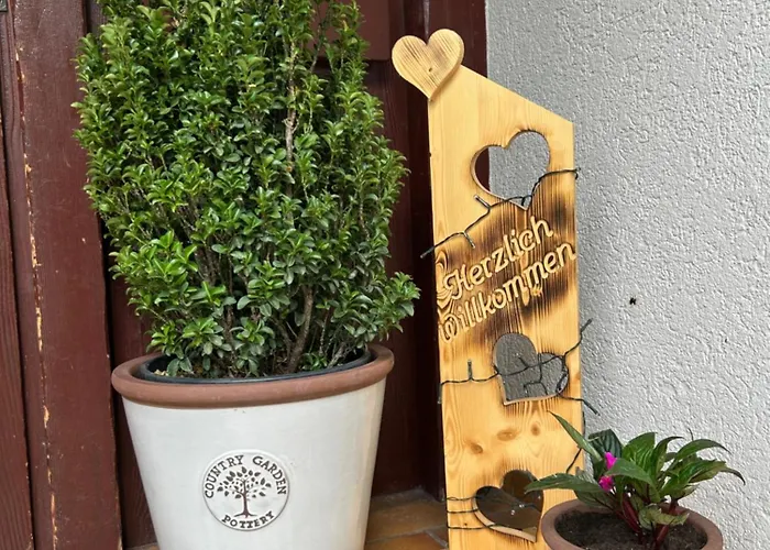 Albmatte-sauna Im Haus-gemuetliche Apartament St. Blasien