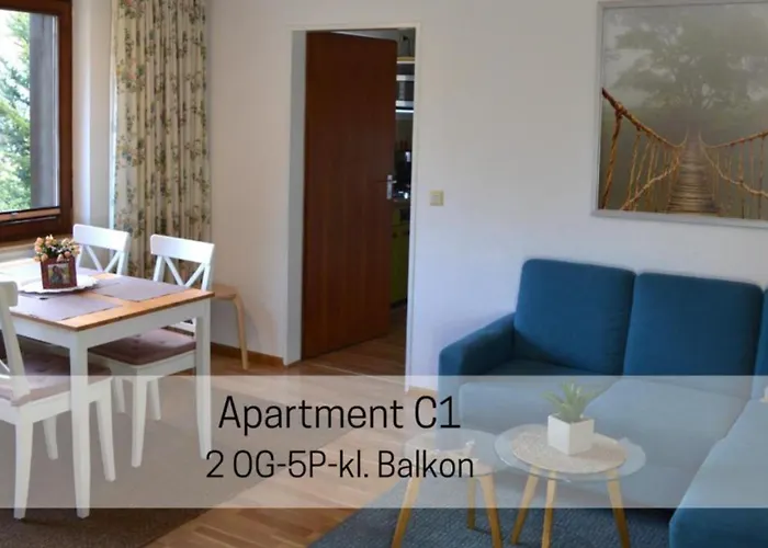 Albmatte-sauna Im Haus-gemuetliche St. Blasien