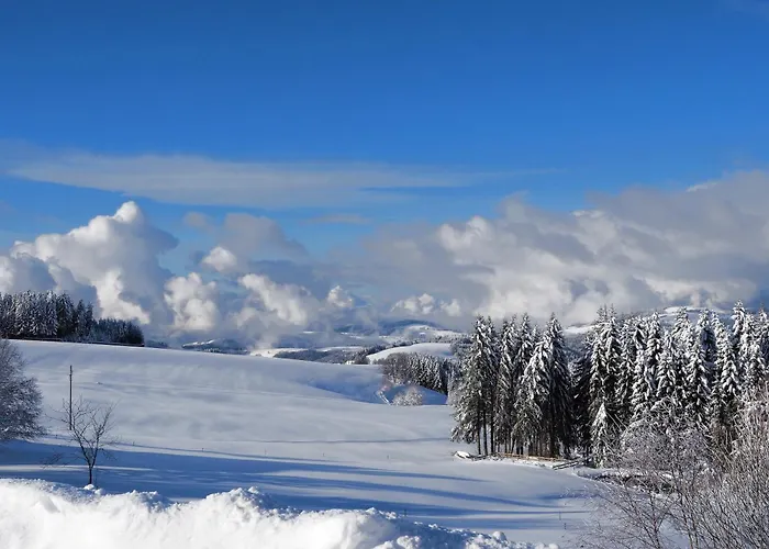Albmatte-sauna Im Haus-gemuetliche St. Blasien